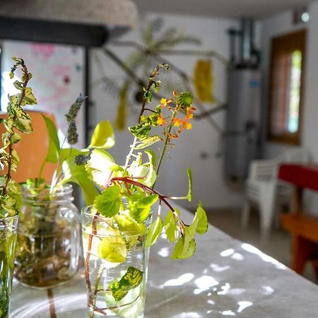 Eiru Hostel Santa Rosa de Calamuchita Εξωτερικό φωτογραφία